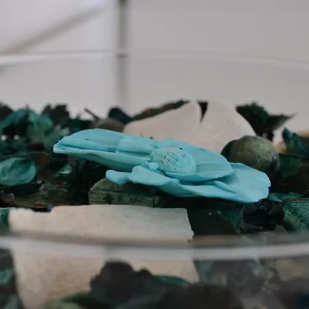 招待所 威尼斯里约旅馆 4*